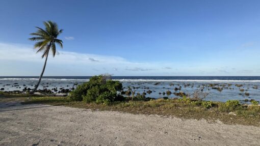 NAURU STOCK