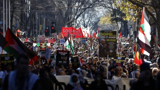 PRO PALESTINE RALLY MELBOURNE
