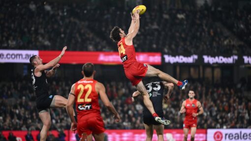 AFL BLUES SUNS