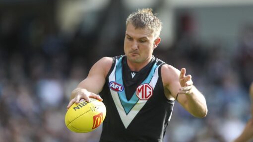 AFL POWER TIGERS