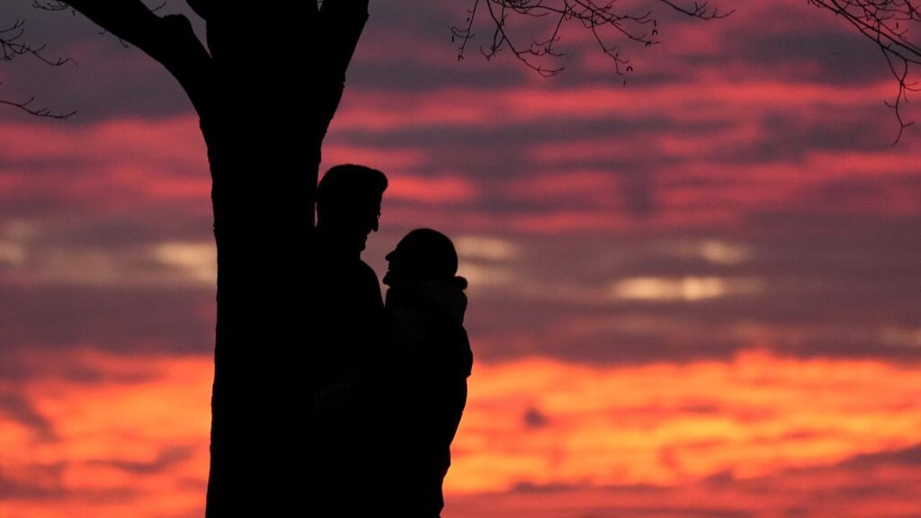 A dating app to help farmers connect is being downloaded across rural Australia.
