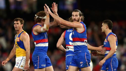 AFL BULLDOGS EAGLES