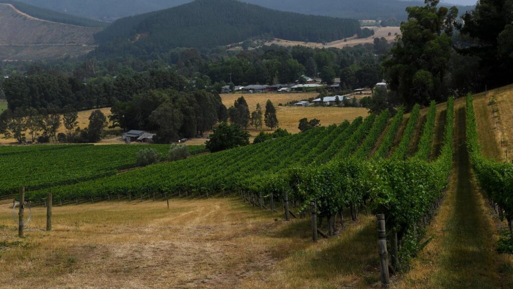 A major police operation is underway in the small Victorian town of Porepunkah.
