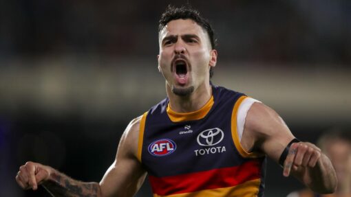 AFL CROWS HAWKS