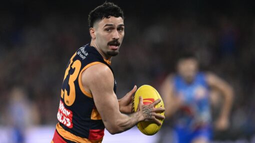 AFL BULLDOGS CROWS
