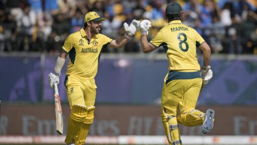 India Cricket WCup