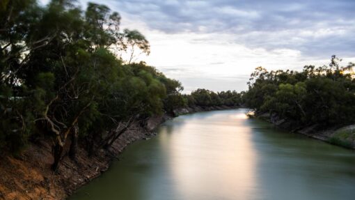 NSW MENINDEE WATER QUALITY DEGRADATION