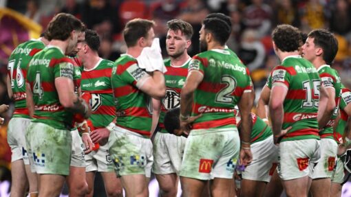 NRL BRONCOS RABBITOHS