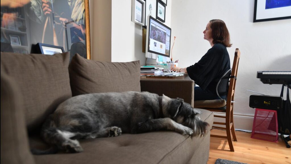 Victoria’s proposed work-from-home laws could prove difficult to enforce, an employment expert says.
