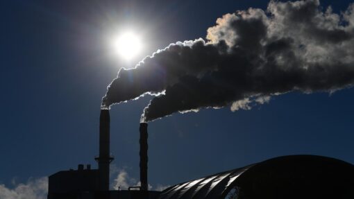 ENVIRONMENT STOCK