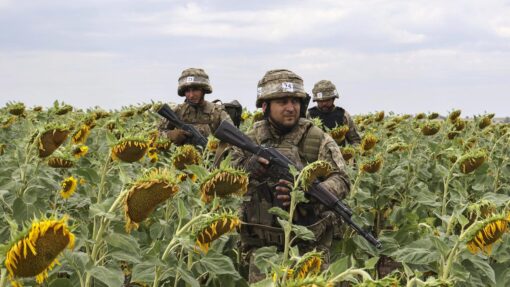 Ukrainian recruits undergo military