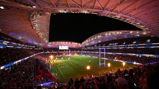NRL ROOSTERS RABBITOHS