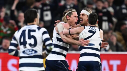 AFL CATS LIONS