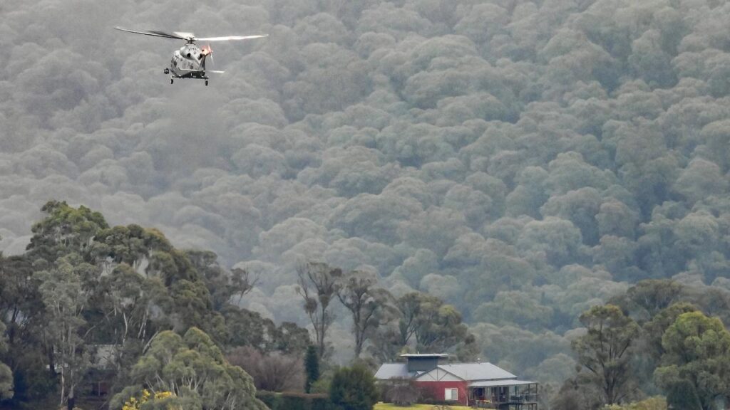 Fugitive Dezi Freeman’s wife has pleaded for him to surrender as a massive police search continues.