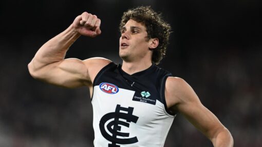 AFL SAINTS BLUES