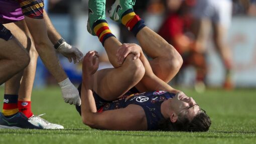 AFL CROWS DEMONS