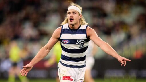 AFL TIGERS CATS