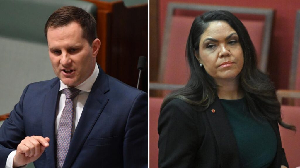 Alex Hawke has urged Jacinta Nampijinpa Price to apologise to the Indian community.

