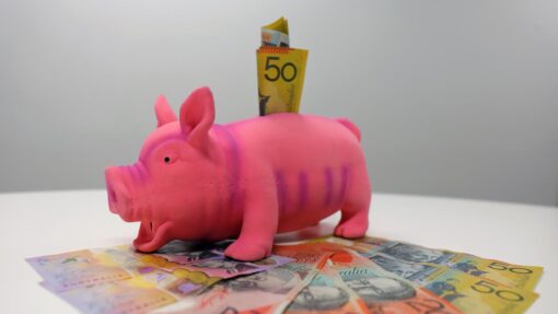 PIGGY BANK STOCK