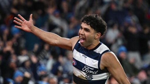 AFL CATS SUNS
