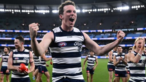 AFL CATS LIONS