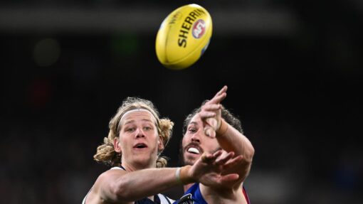 AFL CATS LIONS