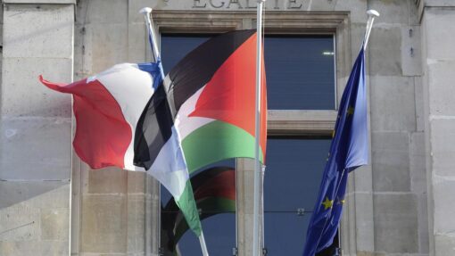 France Palestinian Flags