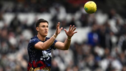 AFL MAGPIES LIONS