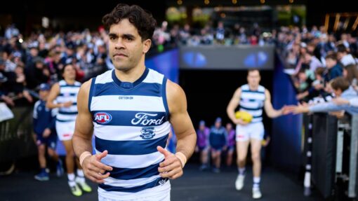 AFL TIGERS CATS