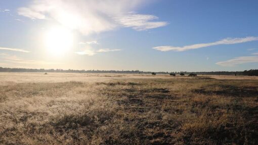 BOREHOLE QLD