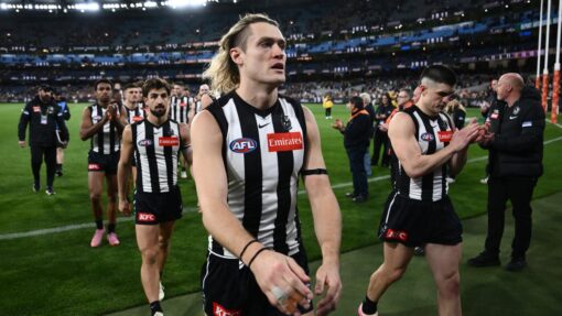 AFL MAGPIES LIONS