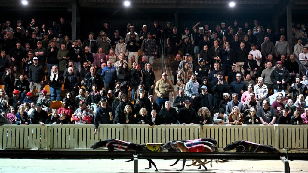 A bumper crowd has watched the last run of greyhounds at the famed Dapto races in Wollongong.