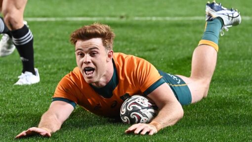 RUGBY BLEDISLOE CUP