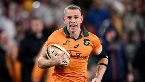 RUGBY WALLABIES LIONS