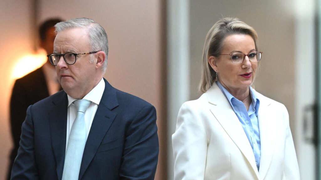 Sussan Ley trails Anthony Albanese 31-51 per cent as preferred prime minister, Newspoll shows.
