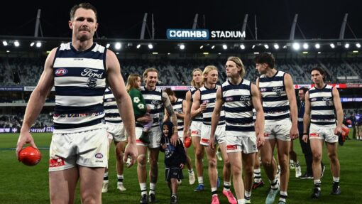 AFL CATS POWER