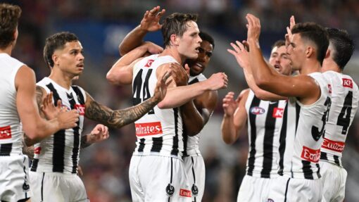 AFL LIONS MAGPIES