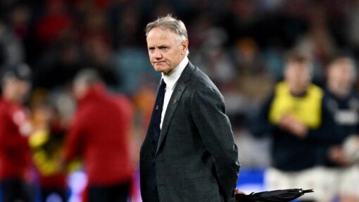 RUGBY WALLABIES LIONS
