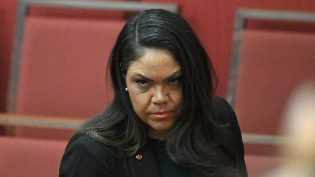 Senator Jacinta Nampijinpa Price claimed Labor was taking in Indian migrants to boost its support.