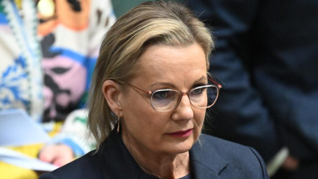 A push for welfare savings will be at the centre of Sussan Ley’s first major economic speech.
