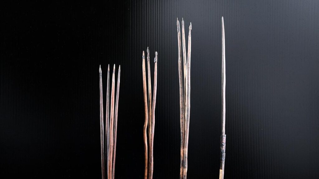 Spears returned after centuries will help tell a broader story of an unbroken connection to Country.