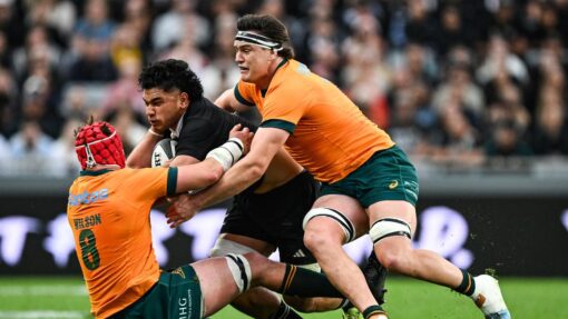 RUGBY ALL BLACKS WALLABIES