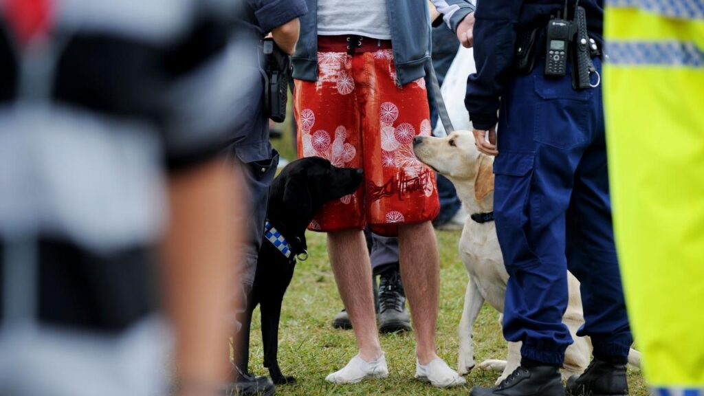 A judge is set to rule on whether strip searches of thousands of festivalgoers were unlawful.
