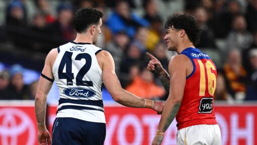 AFL CATS LIONS