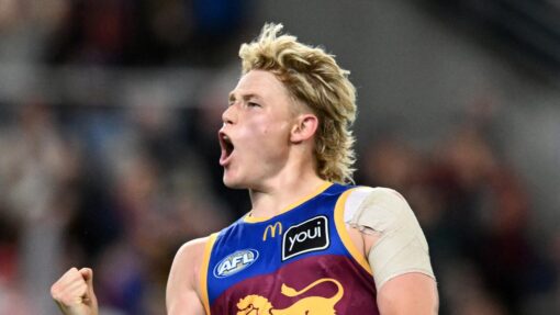 AFL LIONS SWANS