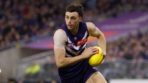 AFL DOCKERS LIONS