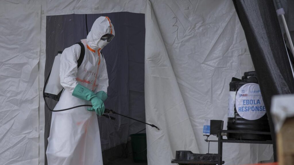 Authorities say Ebola has been confirmed in a 34-year-old pregnant woman who was hospitalised.
