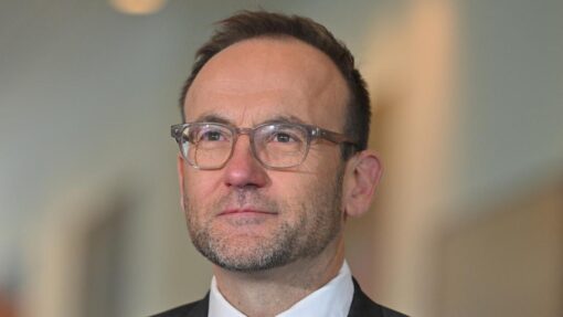 ADAM BANDT GREENS PRESSER
