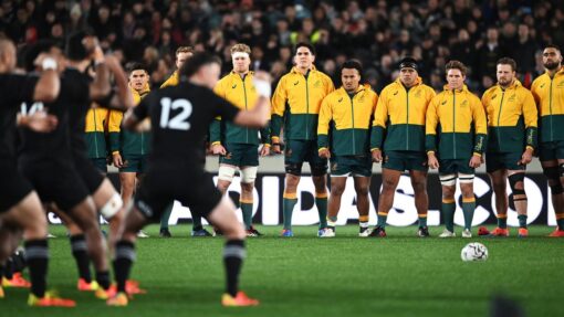 RUGBY BLEDISLOE CUP
