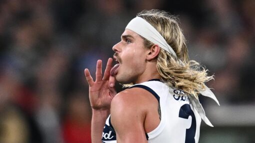 AFL CATS LIONS